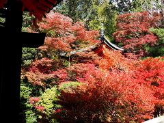 京都・山科その２、毘沙門堂と山科聖天