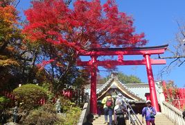 &#12881;　高尾山　紅葉は　1号路ー高尾山ー相模湖　　健康登山（２０）　2019年