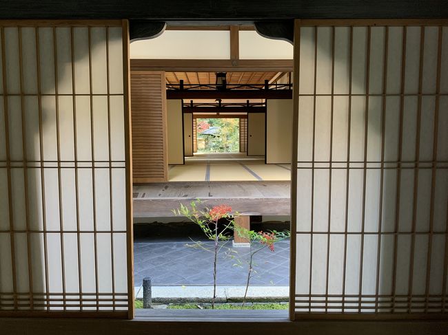 毎年の恒例になりつつある京都の紅葉拝観。<br /><br />今回は市バスで鷹峯から紫野大徳寺まで。<br /><br />11月10日に拝観を再開した大徳寺塔頭 高桐院、特別公開中の興臨院、通常拝観の瑞峯院に行ってみた。<br /><br />まずは少し離れた高桐院へ。<br />朝一番の光悦寺と同じく、まったりと時間を過ごすことができた。<br /><br />散り紅葉の名所だったらしく時期は少し早かった。<br /><br />庭園への降り方がわからず、ウロウロしていると外国人の方が「スリッパ?」と言って下駄箱を教えてくれた。<br />光悦寺では虹を教えてもらい、なにか小さな事だけど、とても嬉しい出来事だった。<br /><br /><br /><br /><br /><br /><br /><br /><br /><br /><br /><br /><br />