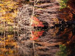 ◆錦繍の水鏡・滑川砂防ダム(その１)