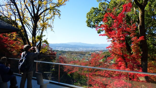 今年も、福岡県太宰府市にある「宝満宮竈門神社」に紅葉を観に行きたいと思っていました。<br /><br />ただ、一番の見頃は、今年も１１月の最終週と見込んではいたのですが、この最終週には大阪２泊３日の旅行が入っている為、その前週の仕事の休みである、１１月２１日（木）に行く事にしました。<br /><br />街の樹々の紅葉状態から見ても、ちょっと早いかもとは思ったのですが、この日しかない（１１月２４日〔日〕も休みなのですが人出が多い日は避けています）ので行く事にしたのです。<br /><br />行って見ると、確かに昨年行った時よりは色付きが悪かったと思いますが、その分、今月末までは十分見られるのではないかと思いました。<br /><br />昨年１１月２９日に、この宝満宮竈門神社に行った時の私の旅行記は下記です。<br /><br />https://4travel.jp/travelogue/11427873<br /><br /><br />宝満宮竈門神社（大宰府市）<br /><br />公式サイト：http://kamadojinja.or.jp/<br /><br /><br />竈門神社で紅葉狩りした時の様子です。<br /><br />コメントは、一部を除いて省略させて頂きます。