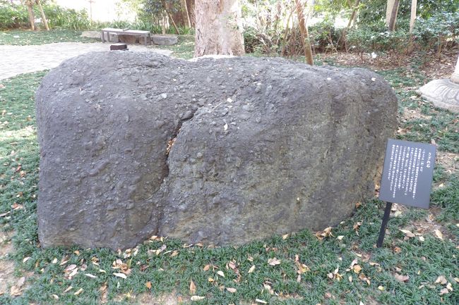 　東京都千代田区九段北3に鎮座する靖國神社にはさざれ石がある。大鳥居の横の高台になっている都立九段高側出入口に大小2つのさざれ石が鎮座しており、その1つ（大）はこれまでに見たさざれ石では最大の大きさである。その横にある小さなさざれ石も同時期に奉納されたものであろう。元々は昭和53年（1978年）から大鳥居脇に設置されてあったのだという。それがその後に現在の位置に移された。黒っぽく、形も角張っている。しかし、表面は案外つるっとしている。今年になって設置された各県のさくら陶板を見に来ていたおばあさんが、「鎌倉の鶴岡八幡宮の池の畔にあるさざれ石（https://4travel.jp/travelogue/10394317）は白っぽかったが、このさざれ石は黒い。」と言っている。「さざれ石が産出される場所によって違いがあるのではないでしょうか。」と答えておいた。神門横で商売している母娘の親子の話では、娘は40年前頃にはこのさざれ石に乗って遊んだという。今なら罰当たりであるが、幼い子供にはさざれ石云々は分からないことだ。また、さざれ石のことを聞かれたのはこれが初めてだと言われた。一度あると次からもあり、話している最中にご夫婦の参拝者からさざれ石のことを聞かれていた。<br />　また、神門の両側にも2、3年前に奉納された2つのさざれ石が安置されている。これも黒っぽい。<br />　神職に聞くと、「（社殿の）中にも小さなさざれ石がある。」という。どうやら、靖國神社には見えるところに4つ、見えないところにもう1つ、合計5つの大小のさざれ石があるということだ。<br />　「君が代発祥の地」、「日本吹奏楽発祥の地」として知られる妙香寺（横浜市中区妙香寺台）（https://4travel.jp/travelogue/10872448）には小さいが2つのさざれ石があるが、これは「君が代」に歌われているさざれ石縁（ゆかり）の寺ということで1つではないのだと理解していた。<br />　さすがに、150年の歴史しかないとはいえ、世に知られた靖國神社である。さざれ石の大きさといい、さざれ石の数といい、本当に度肝を抜かれた。<br />（表紙写真は靖國神社の大きなさざれ石）<br />