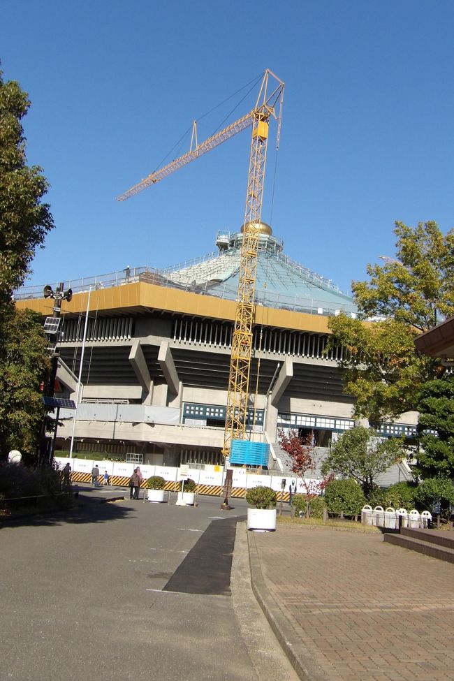 　乾門前から見ると北の丸公園の紅葉はまだまだのようだ。銀杏も黄色くはなってはいない。大嘗宮一般参観で北桔橋（きたはねばし）門から退場した人は本当に少数だったし、まして北の丸公園に入る人はバスツアーの人くらいなのかも知れない。<br />　果たして、北の丸公園の木々の紅葉はさほど進んではいない。それでいて紅葉している木や黄色く色づいてきている銀杏の木もちらほらある。<br />　日本武道館は来年の東京オリンピック・パラリのンピックに向けて改修工事中である。屋根の宝珠が輝いている。<br />　北の丸公園は環境庁が所轄し、門などの江戸城の建物は宮内庁ではなく文化庁の管轄であり、屋根瓦に菊の御紋もなく、田安門と清水門はいずれも国指定重要文化財になっている。江戸城跡は国の特別史跡になっているが、皇居部分、西の丸と皇居東御苑の建物は国重要文化財などには指定されてはいない。<br />（表紙写真は工事中の武道館）