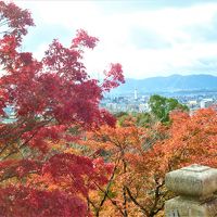 京都の紅葉<東山区>(2019.11)