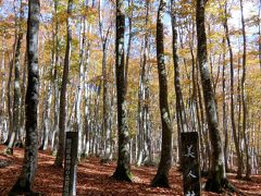 美しい越後の紅葉　１　越後湯沢　美人林　星峠の棚田