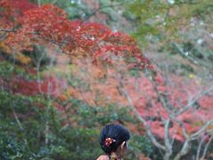 Autumn Leaves in MIYAJIMA 2019