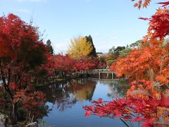 あ、そうだ、ちょっと京都まで紅葉を見に行こう！