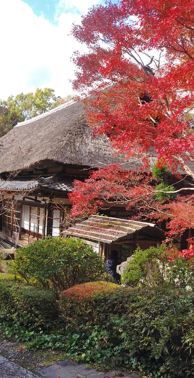 笠間の日動美術館分館となっている「春風萬里荘」へ行ってきました。<br />昭和40年に北鎌倉から移築されたものです。茅葺入りもや造りの江戸中期の民家は、厚木近郊の高座郡御所見村の豪族だったもので、大庄屋であった伊東家の母屋を昭和初期に北大路魯山人が、北鎌倉山崎に開いた星岡窯の母屋として、もう一軒の慶雲閣と共に移築して、住居としたもの。