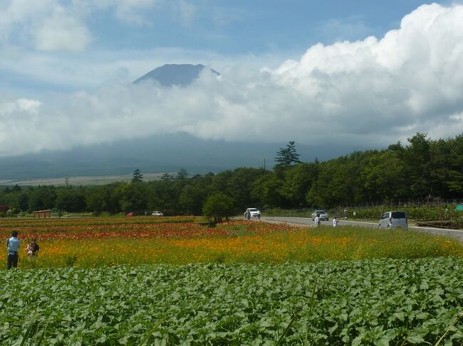 シニアとなり、自由に時間が使えるようになった今、再訪の旅を楽しんでいます。思い出の旅シリーズとして旅行記が成立する写真の枚数があるものを記念として、この場所に保存したいと思います。この旅行は父と甥っ子を連れ、愛車で富士山周辺を周った時のものです。昔訪れた頃の様子を懐かしんだり、現在の様子との比較したりといった別の楽しみ方もあるかと思います。よろしかったら目を通してみて下さい。<br />