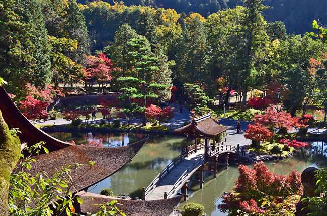 多治見・虎渓山永保寺の秋彩紅葉<br /><br />臥龍池と土岐川の間にある池の周りの紅葉も見事だと想い。<br />土岐川畔の丘陵から多治見市を見渡す永保寺を訪ねてみました。<br /><br />虎渓山の公園でなく<br />観光駐車場からJR線路を渡り<br />行くと最初にある「続芳院」永保寺に向かう<br />参道から右に折れて黒門へ<br /><br />岐阜県多治見市虎渓山町1-40<br />虎渓山 永保寺（こけいざん えいほうじ）<br />国宝の観音堂と開山堂をはじめ、<br />数々の県や市の指定文化財がある。<br /><br />臨済宗南禅寺派虎渓山永保寺の紅葉<br />       飛騨・美濃紅葉33選にも選ばれた紅葉<br />周りの山川を含めて「虎渓山」と呼ばれ<br />六角堂梵音巌、臥龍池、無際橋、観音堂を<br />見渡すたびにその景観の素晴らしい・<br />特に今回注目は、<br />名勝庭園にある臥竜池に架かる橋「無際橋」<br />夢窓疎石の設計による庭園は素晴らしい池泉回遊式庭園です。<br /><br />■■■■■2019　紅葉前線を探してあちらこちら■■■■■<br /><br />2019紅葉「飛騨美濃せせらぎ街道」（1）<br />　　　　　　　https://4travel.jp/travelogue/11565011<br />2019紅葉「第31回 谷汲もみじまつり（谷汲山華厳寺）」（2）<br />　　　　　　　https://4travel.jp/travelogue/11567659<br />2019紅葉　臥竜池に架かる無際橋へ秋彩紅葉～虎渓山永保寺（3）<br />　　　　　　　https://4travel.jp/travelogue/11569057<br />2019紅葉　紅葉を愛でながら博物館明治村その景観（紅葉）（4）<br />　　　　　　　https://4travel.jp/travelogue/11569856<br />2019紅葉　県営各務原公園・自然の遺産の森・法福寺の紅葉（5）<br />　　　　　　　https://4travel.jp/travelogue/11570974<br />2019紅葉　日本最古の木造再建城郡上八幡の紅葉（6）<br />　　　　　　　https://4travel.jp/travelogue/11571127<br />2019紅葉　東海一の紅葉の名所～足助町・香嵐渓（7）<br />　　　　　　　https://4travel.jp/travelogue/11572112<br />2019紅葉　豊田の奥座敷いなぶ大井平公園の紅葉（8）<br />　　　　　　　https://4travel.jp/travelogue/11573030<br />2019紅葉　湖北の鶏足寺・石道寺・意冨布良神社の紅葉（9）<br />　　　　　　　https://4travel.jp/travelogue/11573299<br />2019紅葉　近江の隠れた紅葉名所【胡宮神社】（10）<br />　　　　　　　https://4travel.jp/travelogue/11573839<br />2019紅葉　ゆく秋を惜しみながら、秋色の金剛輪寺（11）<br />　　　　　　　https://4travel.jp/travelogue/11574028<br />2019紅葉　マキノ.メタセコイアの紅葉並木道（12）<br />2019紅葉　聖徳太子ゆかりの寺院・紅葉名所東光寺（13）<br />2019紅葉　「石の寺」教林坊の紅葉・落葉と庭園（14）<br />　　　　　　　　　　紅葉前線を探して・・・・・・終了。