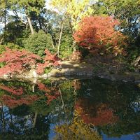 紅葉！京都3泊4日　④南禅寺三門・京都市動物園・平安神宮・ちょこっと京都御所