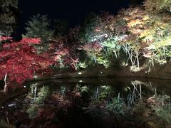 二日続けて小さな紅葉狩り、福田美術館と高台寺、2019年11月22日の嵐山