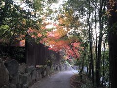 有田ちゃわん祭り2019 器と紅葉、美味を求めて秋のドライブ②