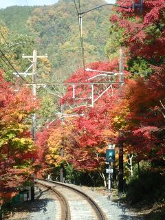 紅葉！京都3泊4日　②二ノ瀬・鞍馬