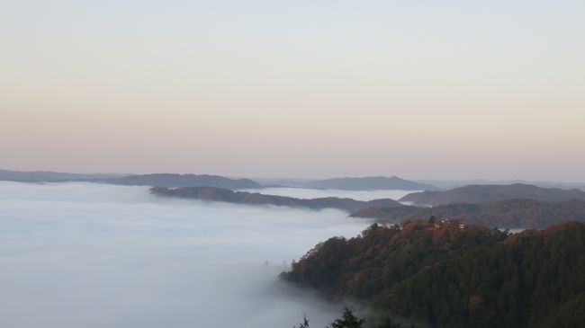 岡山駅近くに宿泊し周辺を観光してきました<br /><br />【旅行期間】<br />2019/11/14(木)～2019/11/18(月)<br /><br />【概要】<br />●2019/11/14(木) 移動<br />●2019/11/15(金) 倉敷観光, 寄島観光<br />●2019/11/16(土) 高梁観光<br />●2019/11/17(日) 尾道観光<br />●2019/11/18(月) 岡山観光<br /><br />【宿泊】<br />アークホテル岡山<br />https://www.ark-hotel.co.jp/okayama/