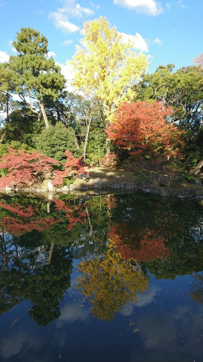 紅葉！京都3泊4日　④南禅寺三門・京都市動物園・平安神宮・ちょこっと京都御所