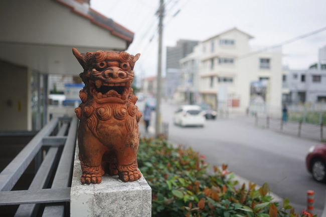 ANAのプラチナ会員まであと少しという事もあり、ANA便を利用してふらっと短期で国内旅行に行く事を検討した結果、不幸にもつい最近に火災に見舞われた首里城を目的に決めました。<br />首里城見学がほぼ唯一の目的の為、日帰りです。飛行機を利用した日帰り旅行は初めての経験です。<br /><br />■旅程<br /> 東京⇒那覇<br /> ANA995 HND09:15⇒OKA12:10<br /> 那覇⇒東京<br /> ANA476 OKA19:05⇒HND21:25