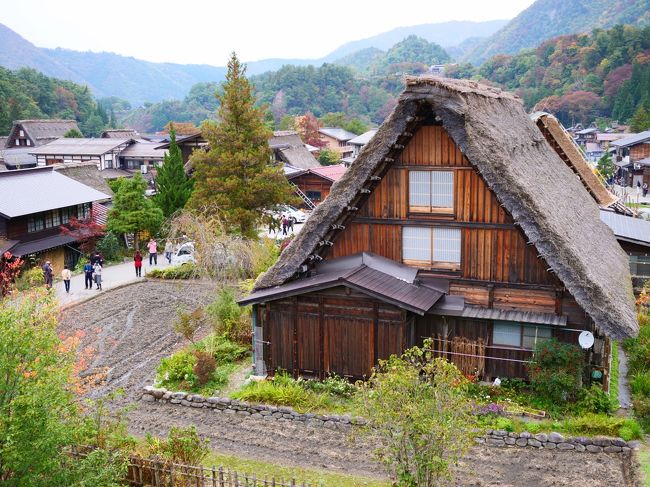 19愛知岐阜旅 ついに来た 秋の世界遺産 ひだ白川郷 白川郷 岐阜県 の旅行記 ブログ By Moeさん フォートラベル