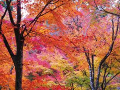 滋賀＆京都の紅葉とパワースポット旅