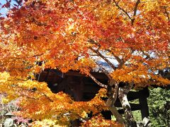 京都