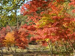 今年こそ、紅葉スポートを巡るツアーに参加しよう！