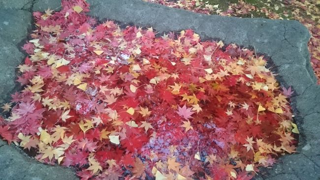 少し早いのですが<br /><br />御朱印仲間との忘年会を兼ねて<br /><br />花巻へ御朱印ゲットに出かけました ( ̄▽ ̄)