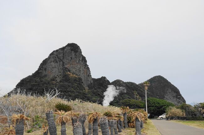 友人の学会か何かに便乗<br />1日目: 鹿児島空港~仙巌園~城山ホテル鹿児島泊<br />2日目: 城山ホテル鹿児島~桜島~指宿(ヘルシーランド)~城山ホテル鹿児島泊<br />3日目: 城山ホテル鹿児島~出水~鹿児島空港