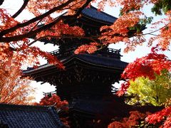 京都 紅葉 真如堂～銀閣寺～北野天満宮 2019