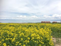 蘭州・西寧標高3,000Mオーバーの旅 (7月に菜の花が咲いている) その３DAY3西寧青海湖