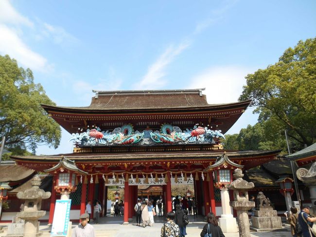 行きは、ANAのプレミアムクラスに乗って福岡空港へ。空港からは移動の足としてレンタカーのFitを借り、福岡の有名な神社巡りと海の中道マリンワールドへ行く、2泊3日の福岡旅行を楽しみました。福岡は出張では良く行っていたものの、観光では訪れたことがなかったので、思う存分福岡観光を行いましたよ。<br /><br />初日は、羽田空港から福岡空港へANAのプレミアムクラス(777-200)へ搭乗。福岡空港到着後は、ニッポンレンタカーを借りて、宗像大社の参拝。参拝後は、JR博多駅そばのANAクラウンプラザホテル福岡へ宿泊。<br />2日目は、太宰府天満宮へ参拝。その後は櫛田神宮へ行ってきました。<br />3日目は、海の中道海浜公園のマリンワールドへ。いるかショーやたくさんの動物たちを見学して、福岡空港へ。空港で福岡らしいお土産を買って、帰りはANAの普通席で帰りました。<br /><br />次は2日目、太宰府天満宮や櫛田神社へ行ってきました。<br /><br />1日目:ANA241便 羽田7:25発→ 9:20福岡空港へ→ ニッポンレンタカー(Fit)→ 宗像大社参拝→ 神宝館→ ANAクラウンプラザホテル福岡チェックイン→ JR博多駅でとんこつラーメンの夕食→ ANAクラウンプラザホテル福岡宿泊<br /><br />2日目:ホテル内クラウンプラザカフェにて朝食ブッフェ→ 太宰府天満宮へ参拝→ 櫛田神宮参拝→ JR博多駅でもつ鍋の夕食→ ANAクラウンプラザ福岡宿泊<br /><br />3日目:ホテル内クラウンプラザカフェにて朝食ブッフェ→ ホテルチェックアウト→ 海の中道海浜公園のマリンワールドへ→ 福岡空港(レンタカー返却) →空港内でお土産購入→ ANA272便 福岡空港20:50発→ 22:30着で羽田空港へ