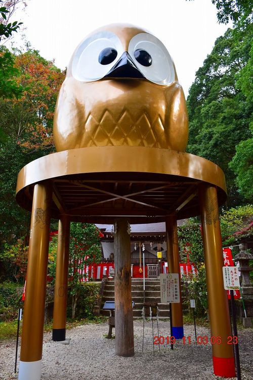 2019 日本一の大フクロウ(不苦労)と大当たり続出で有名な鷲子 2019 日本一の大フクロウ(不苦労)と大当たり続出で有名な鷲子