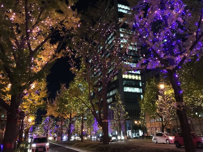 冬の街を彩るイルミネーションの季節になりましたね。<br />御堂筋は11月4日に点灯式が行われ、ファンタジーな光に包まれています。<br />今年は、梅田~難波までを歩いてみようと思い、仕事帰りに約4㎞の光の空間を体感してきました。<br /><br />今年のおススメは、シンフォニーゾーン。<br />(久太郎町3交差点~新橋交差点まで)<br />LEDの調光で色彩が変化し、まるで星がキラキラと煌めいているようです。<br />11月の平日ということで混雑はありませんでしたが、これからクリスマスや年末が近づくとムードは盛り上がり、肩を寄せて歩く人でいっぱいになるんでしょうね。<br /><br />【御堂筋イルミネーション2019】<br />開催期間 :2019/11/4(月)~ 12/31(火)<br />開催時間 :17:00頃 ~ 23:00<br />開催場所 :御堂筋(阪神前交差点~難波西口交差点)約4km<br />「最も多く街路樹にイルミネーションを施した通り」として、2015年に世界記録に認定。<br />