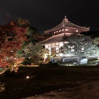 2019年11月　京都嵐山の紅葉　鈴虫寺・鹿王院（ライトアップ）