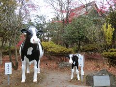 紅葉の善光寺