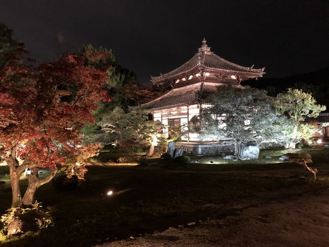 2019年11月22日～23日　嵐山の紅葉を観るために1泊旅行<br /><br />22日午後出発　<br /><br />鈴虫寺にお礼参りして嵐電で鹿王院のライトアップ<br /><br />嵐山に戻って宝厳院のライトアップも堪能<br /><br />宿泊はホテル嵐山<br /><br />23日は朝から嵐山の紅葉を堪能<br /><br />雑踏の渡月橋から厭離庵<br /><br />さらに、二尊院・常寂光寺の紅葉を堪能<br /><br />京都駅で京都タワーに登って帰名<br /><br /><br /><br />