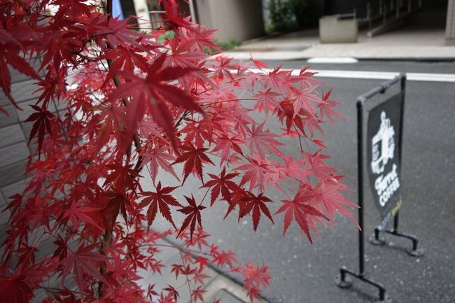 程好く?酔っぱらったら、コーヒーな気分です。上野からですと、日比谷線でいつもの店行けます。金曜土曜来れんかったから、行ってみますかね。