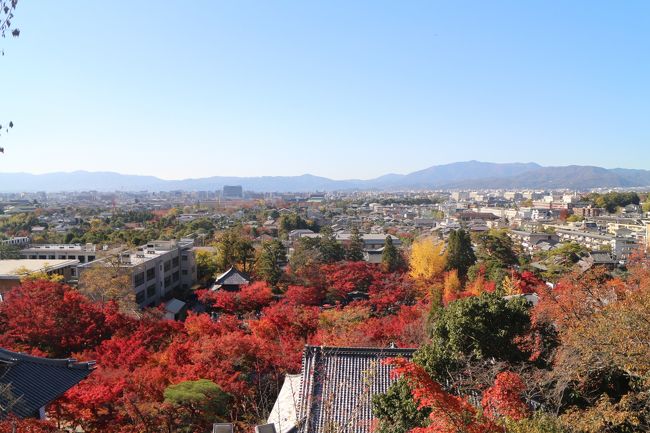 紅葉を見に京都へ。<br />地下鉄東西線の「蹴上駅」で降り、歩きで南禅寺方面へと向かう。<br /><br />今回訪れた紅葉スポット：<br />・永観堂（えいかんどう）<br />・哲学の道<br />・霊鑑寺（れいがんじ）<br />・和中庵（わちゅうあん）<br /><br />秋晴れの中、京都市内の紅葉はベストシーズンを迎えていた。