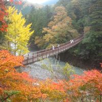 雨が上がった そうだ､秋川渓谷に紅葉見に行こう！