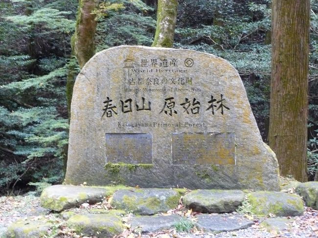 今日は山歩きを楽しむために奈良にやって来ました。柳生街道(滝坂の道)から春日山原生林を抜け若草山で奈良公園を望みます<br />