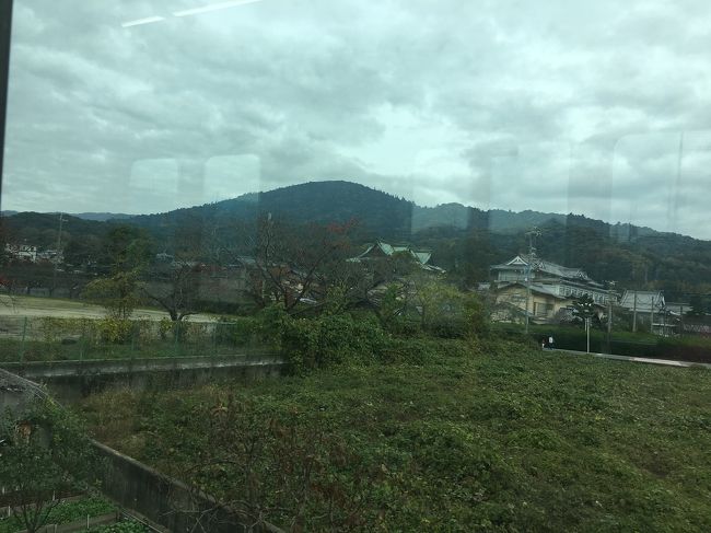前回11月10日、三輪山に登れなかったので再訪しました。<br />表紙は、JR桜井線(万葉まほろば線)で桜井から三輪に向かう途中の車窓から撮った三輪山。三輪山にのぼりたいという思いだけで、出掛けました。<br /><br /><br />
