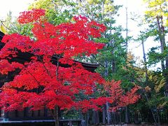 グルメに紅葉、秋の和歌山満喫旅２日目