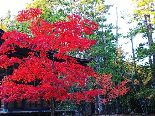 グルメに紅葉、秋の和歌山満喫旅２日目