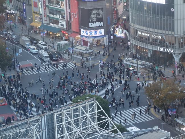 １１月１日に渋谷スクランブル・スクエアが開業したとのこと。さっそく行って来ました。