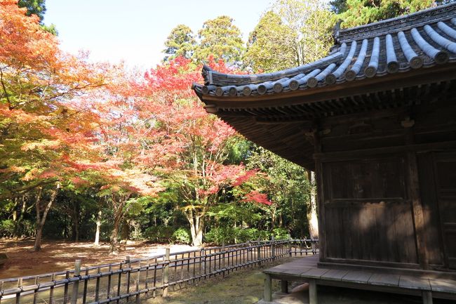 一度、姫路のママン(ビストロフレンチ)と、太陽公園に行って、<br />とても楽しかったので、秋のお出かけ日和のこの日に、<br />再訪しました。<br /><br />書寫山圓教寺は、初めて訪れましたが、<br />ラストサムライや、他の映画にも使われた名刹で、<br />なぜ、今まで訪れなかったのだろうと思うほど、<br />素晴らしい所でした。<br /><br />機会がある方は、是非、一回訪れてみて下さい。<br />ロープウェイが、混むので、早朝に訪れる事を<br />おすすめします。<br /><br />楽しい秋の一日を過ごす事ができました。