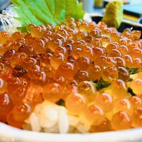 伊豆の海鮮食べ尽くし？ちょっと贅沢に誕生日旅行！【後編】