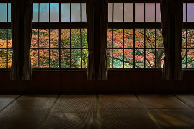 紅葉シーズン真っ盛り。<br />京都などは大混雑ですが、滋賀県内には穴場的なスポットもたくさん。<br />今年は滋賀県内の色々な場所を巡ってみました。<br />まずは湖東、甲良町や多賀町です。