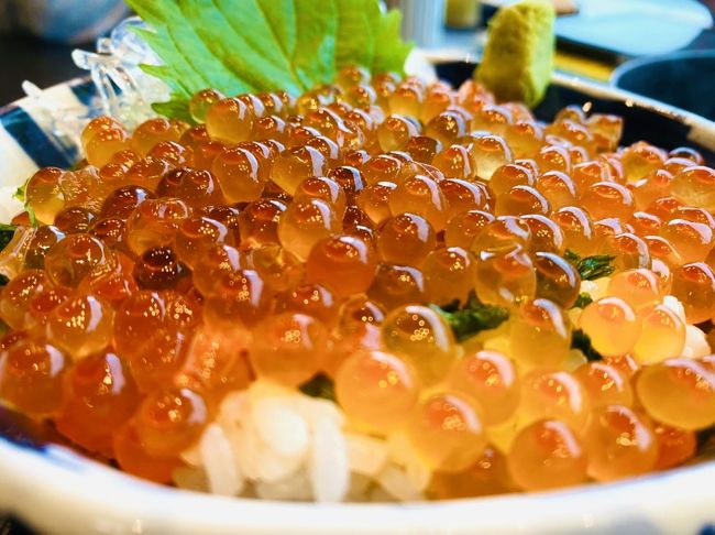 伊豆の海鮮食べ尽くし？ちょっと贅沢に誕生日旅行！【後編】