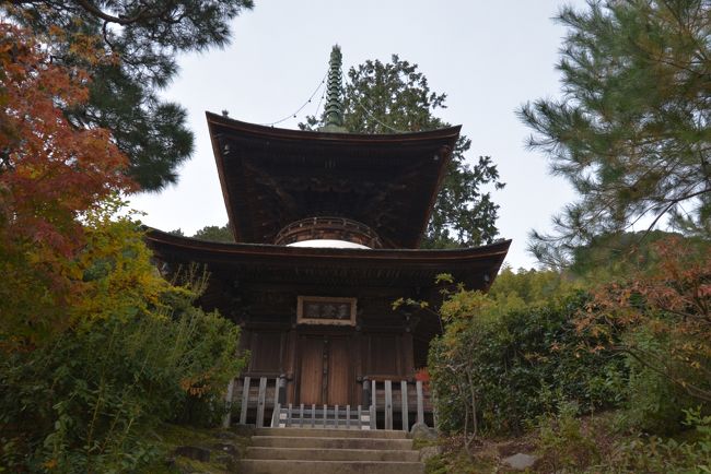 紅葉の名所として知られる小倉山の中腹に寺域を占める日蓮宗の寺院。<br />紅葉の名所がひしめく京都嵐山。その中でもとくにオススメなのは「常寂光寺」<br />山門から仁王門、本堂、多宝塔へと続く参道が秋には紅葉のトンネルとなります。