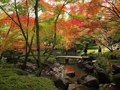 大田黒公園の紅葉