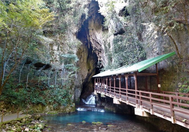 ２泊３日で山口と門司港の有名観光場所を巡ってきました。<br />その中の秋芳洞と萩城城下町編です。